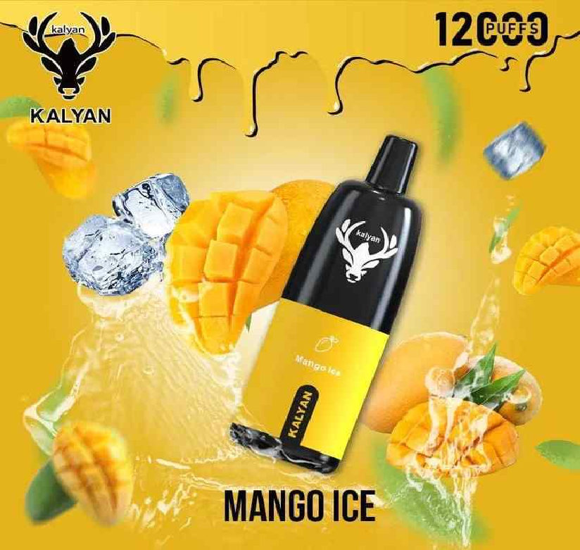 Kalyan 12000 PUFFS