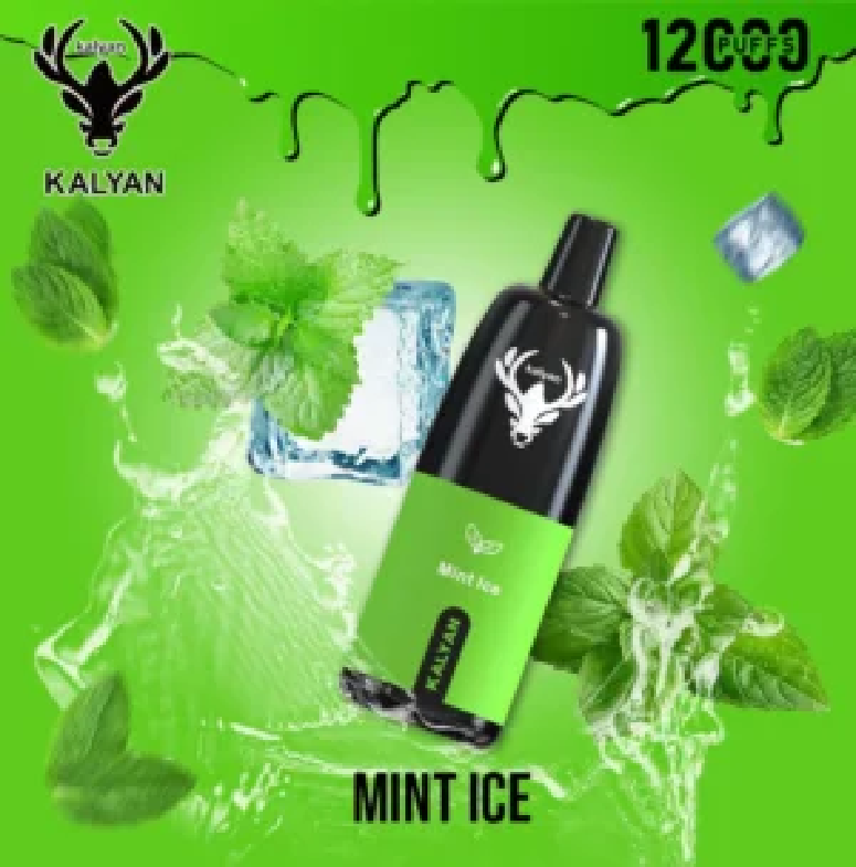 Kalyan 12000 PUFFS